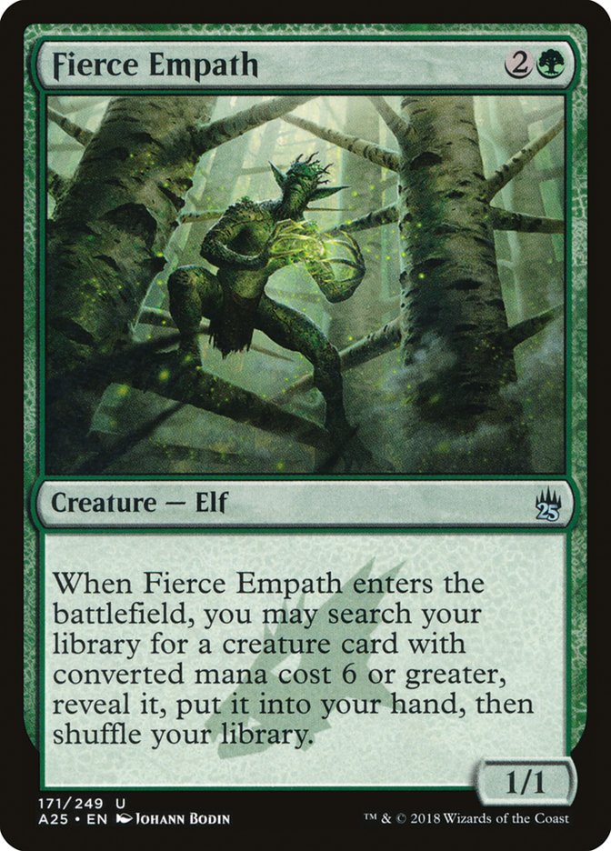 Fierce Empath - A25 171
