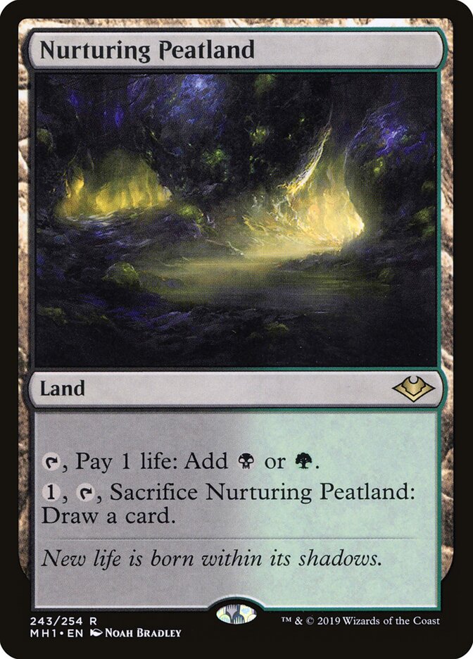 Nurturing Peatland - Modern Horizons 243