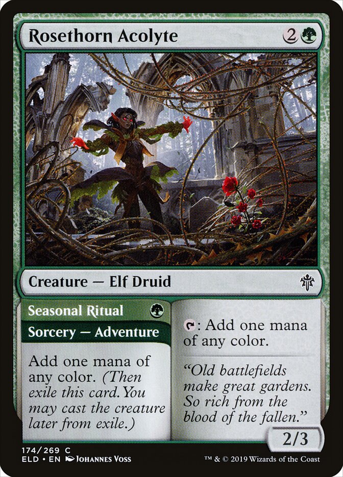 Rosethorn Acolyte // Seasonal Ritual - Throne of Eldraine 174 (Foil)