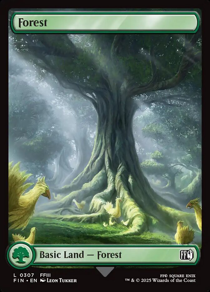Forest - FIN 307