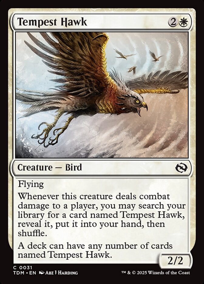 Tempest Hawk - Tarkir: Dragonstorm 31