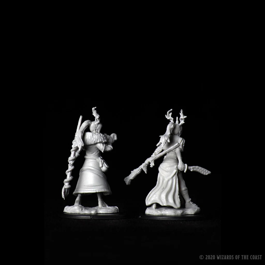 D&D Nolzur's Marvelous Miniatures - Female Human Druid #73701