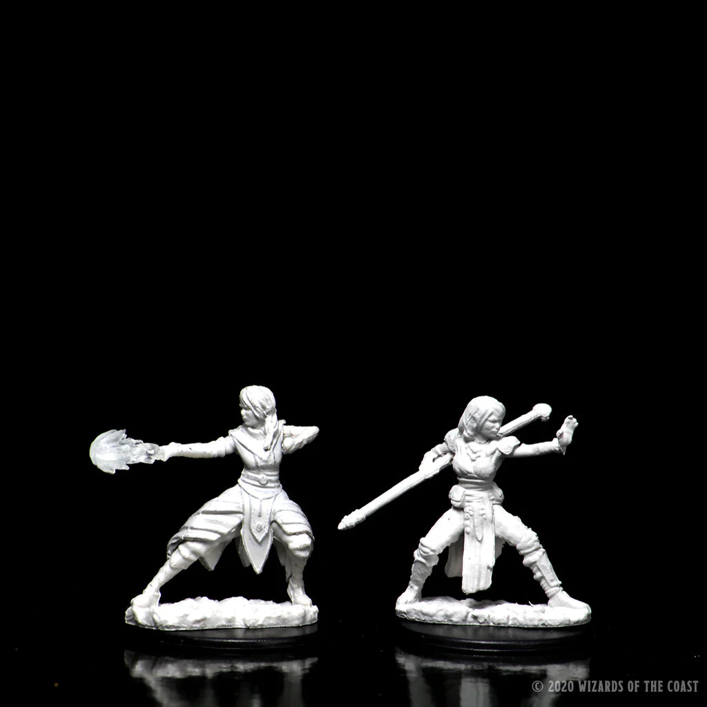 D&D Nolzur's Marvelous Miniatures - Half-Elf Monk #73839