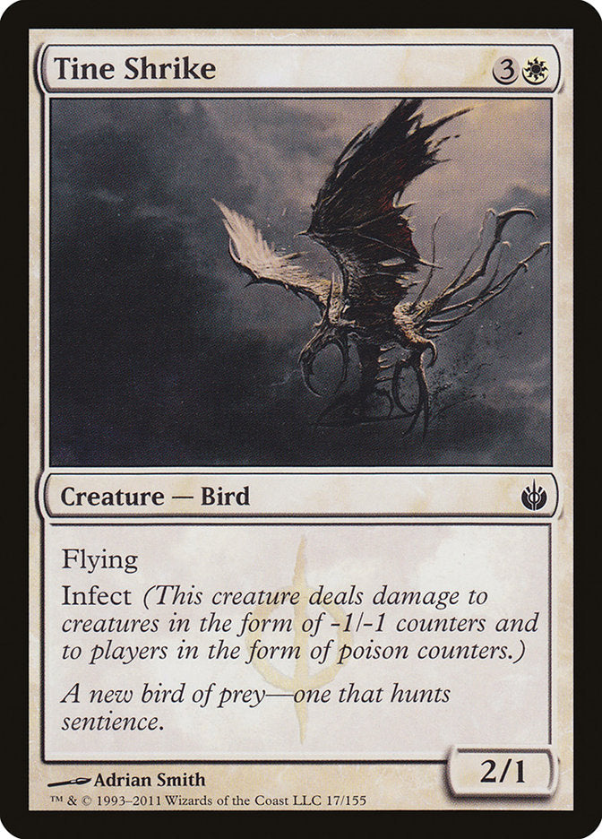 Tine Shrike - MBS 17