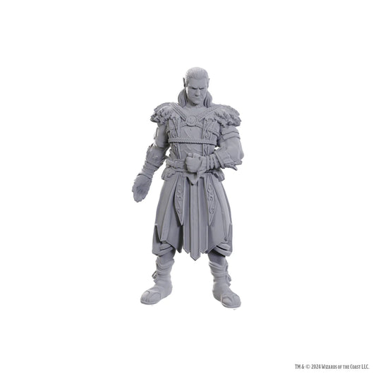 D&D Nozlur’s Marvelous Miniatures: Baldur’s Gate Jaheira & Halsin - #96368