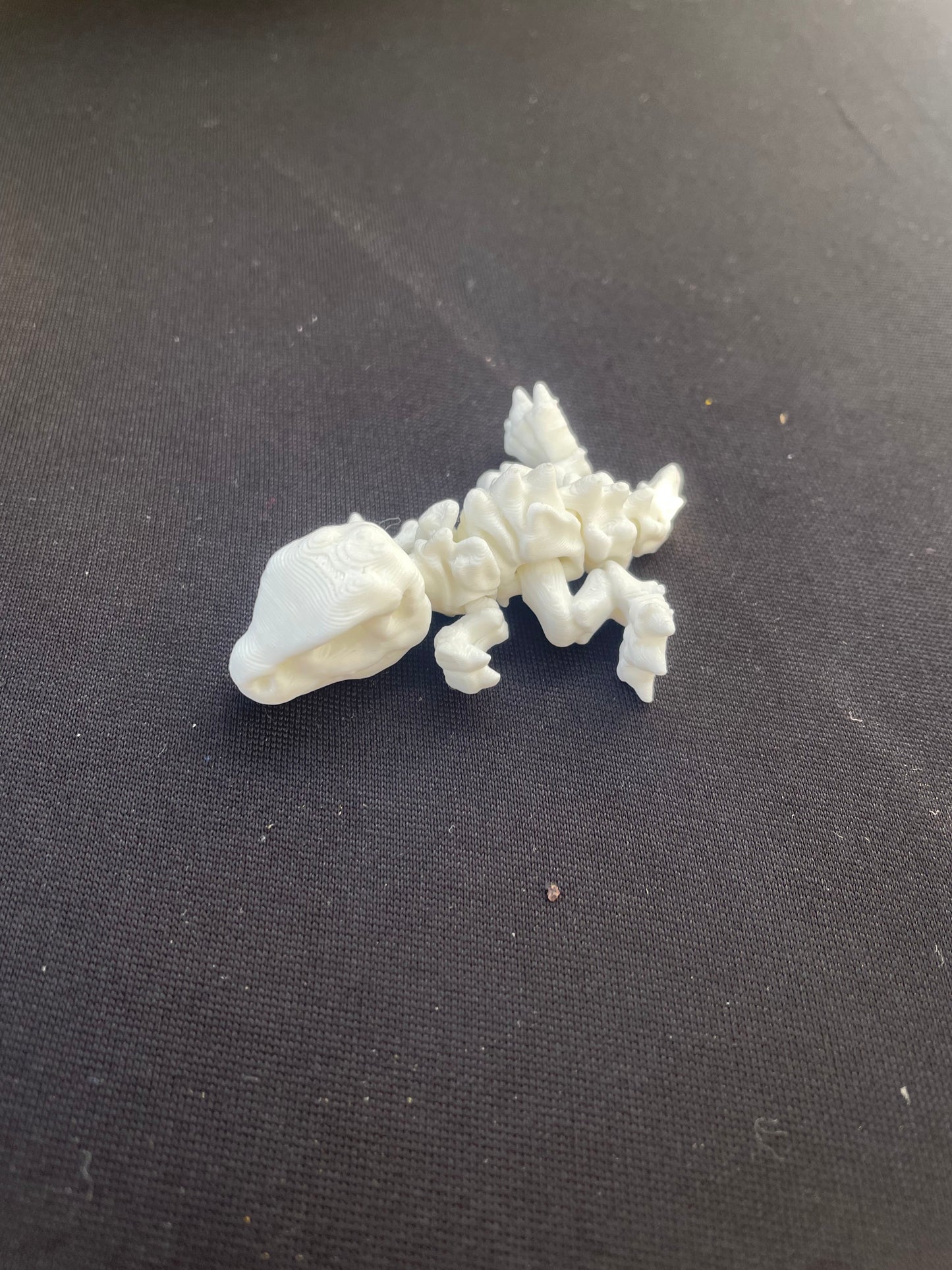 Skeleton Trex Printlng