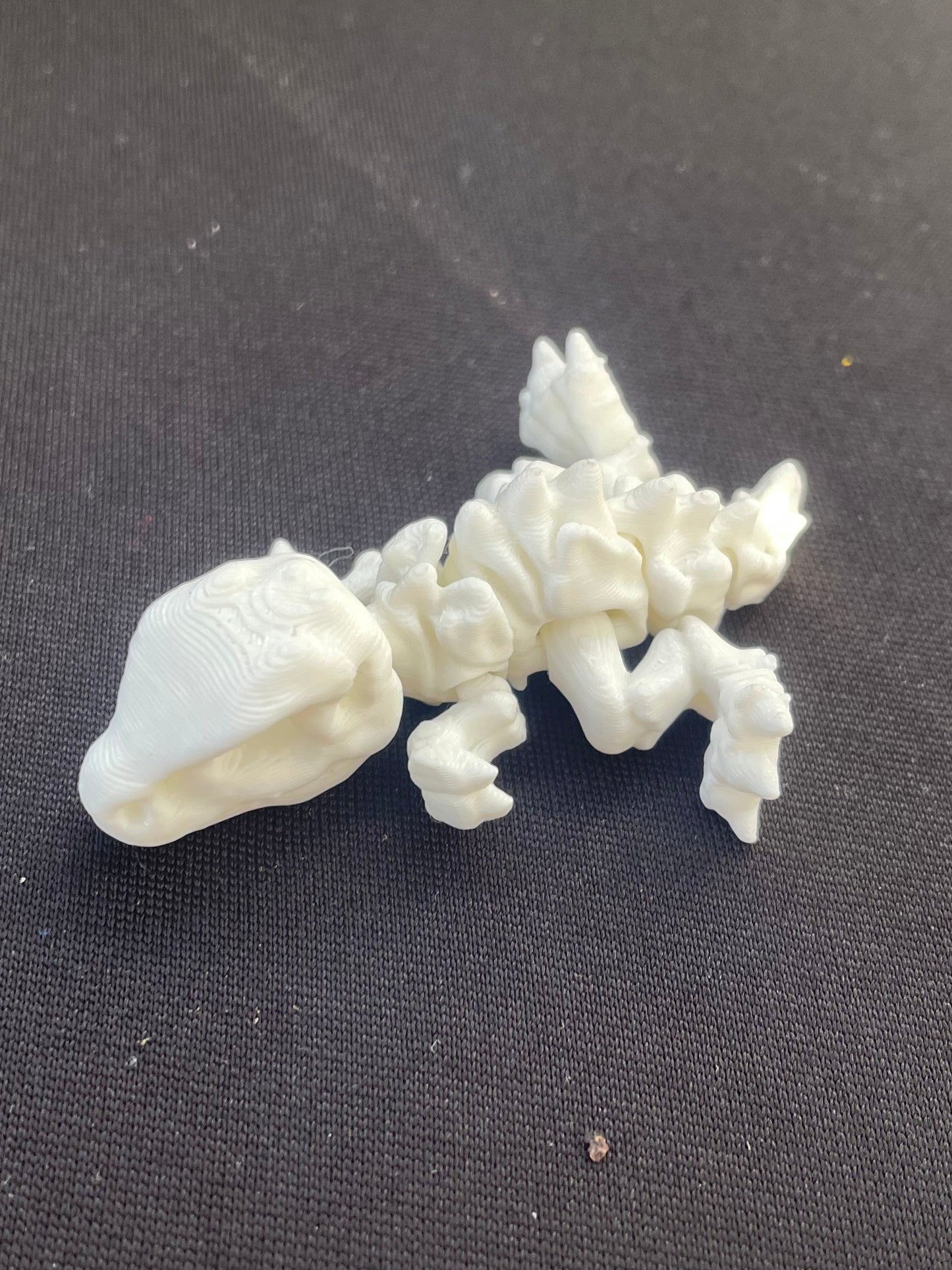 Skeleton Trex Printlng