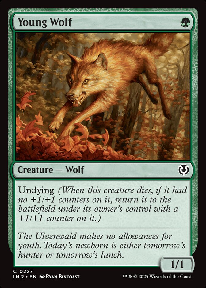 Young Wolf - Innistrad Remastered 227 (Foil)