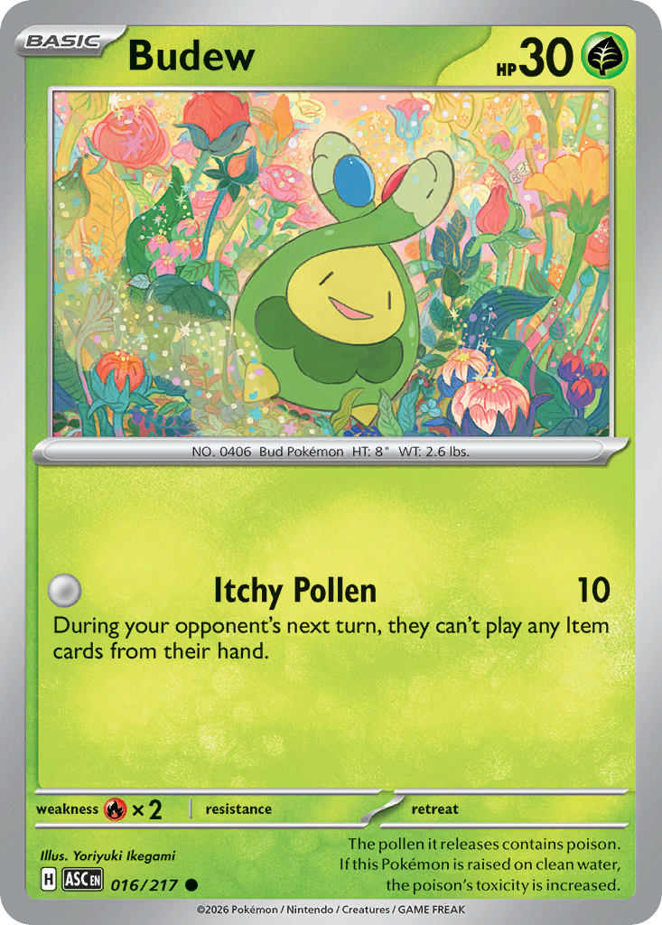 Budew - 016/217 - Ascended Heroes 016/217 - Near Mint