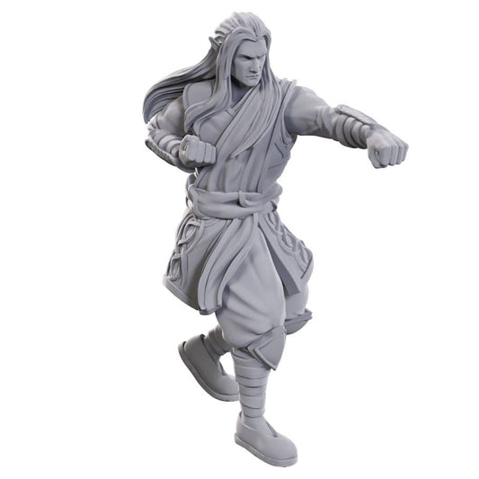 Nolzur’s Marvelous Miniatures: Archdruid & Martial Arts Adept