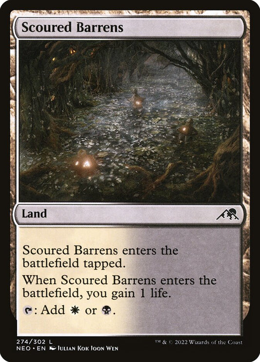 Scoured Barrens - NEO 274