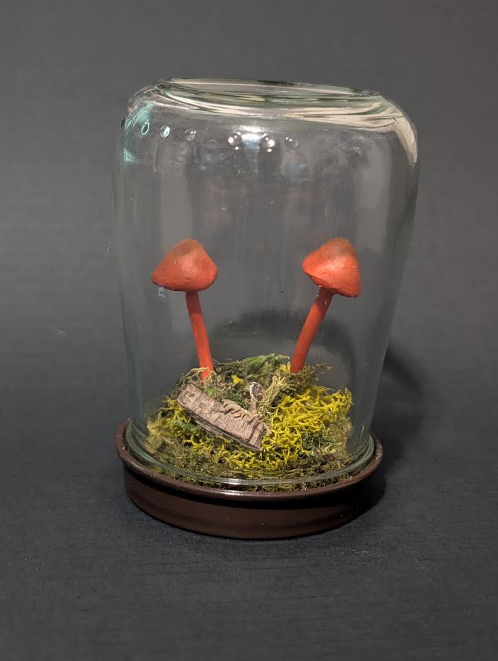 Autumn Forest Mushroom Terrarium