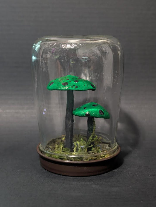 Spotted Poison Dart Frog Mushroom Terrarium