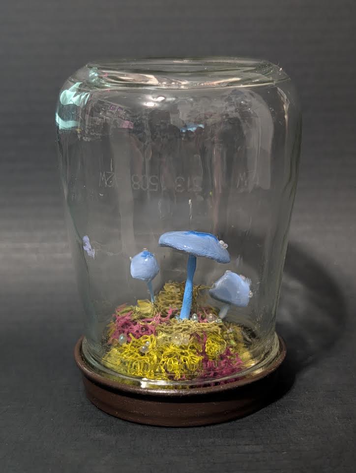 Dewdrop Cluster Terrarium