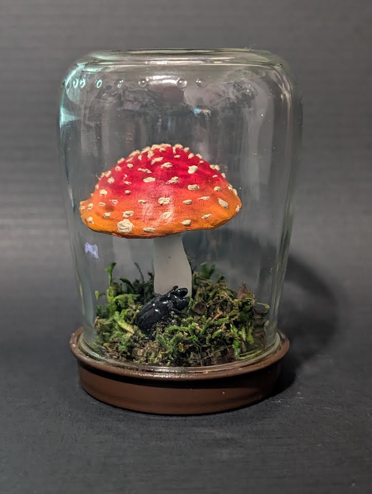 Classic Fly Agaric Mushroom Terrarium