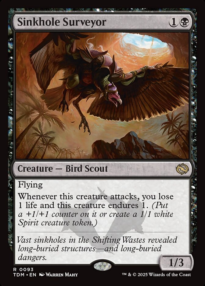 Sinkhole Surveyor - TDM 93  (Foil)