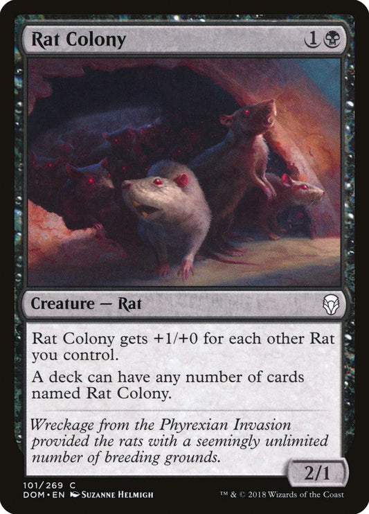 Rat Colony - DOM 101