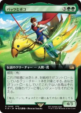 Bartz and Boko - FIN 469 (Japanese)