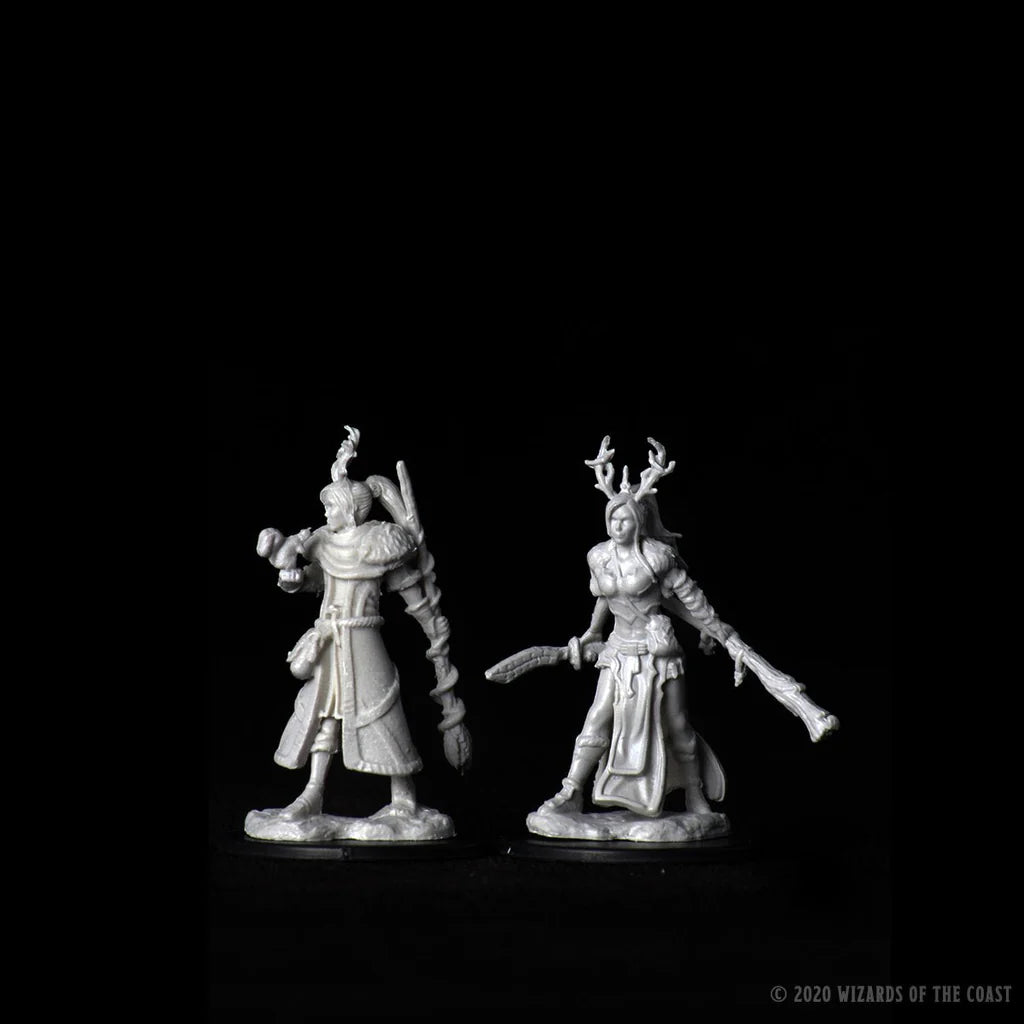 D&D Nolzur's Marvelous Miniatures - Female Human Druid #73701