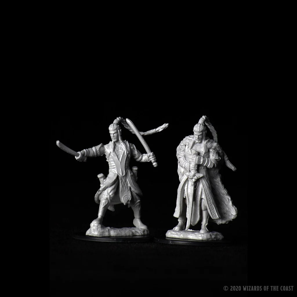 D&D Nolzur's Marvelous Miniatures - Male Elf Paladin #73707