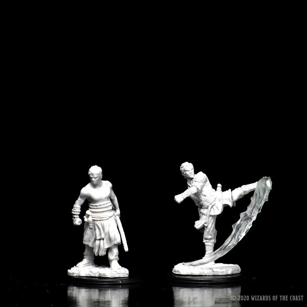 D&D Nolzur's Marvelous Miniatures - Male Half-Elf Monk #73838