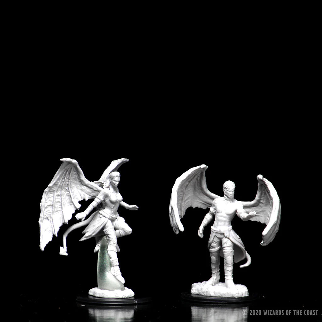 D&D Nolzur's Marvelous Miniatures - Succubux & Incubux #73841