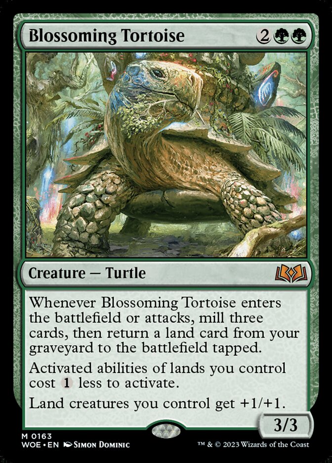 Blossoming Tortoise - WOE 163