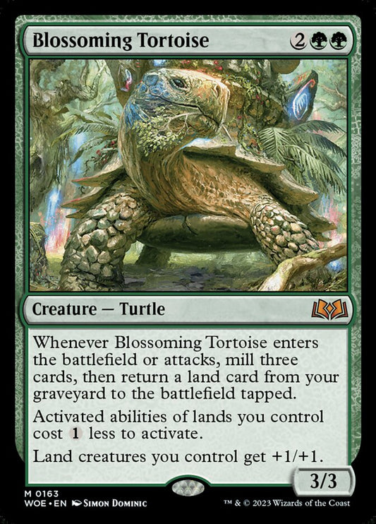 Blossoming Tortoise - WOE 163