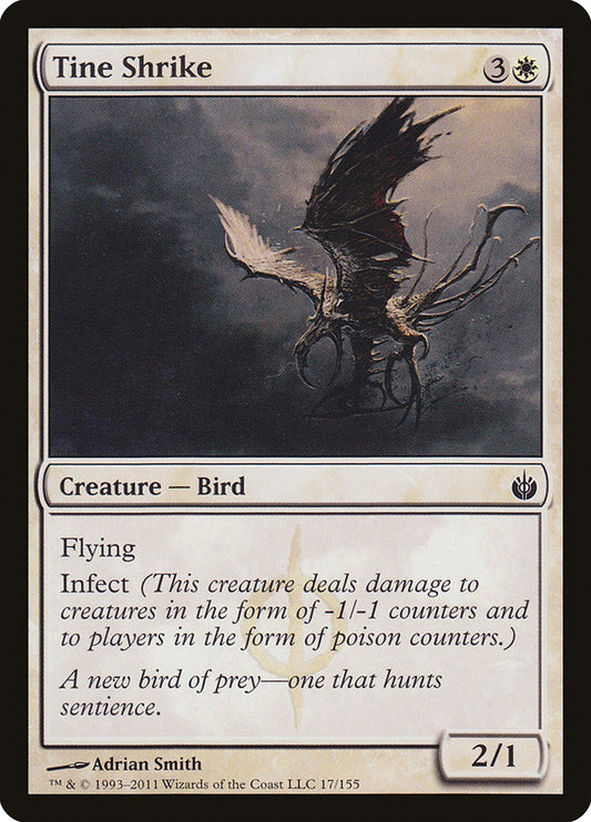Tine Shrike - MBS 17