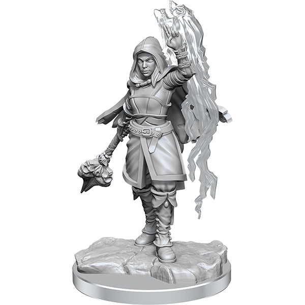 D&D Nolzur's Marvelous Miniatures: Half-Elf Warlock - #90410