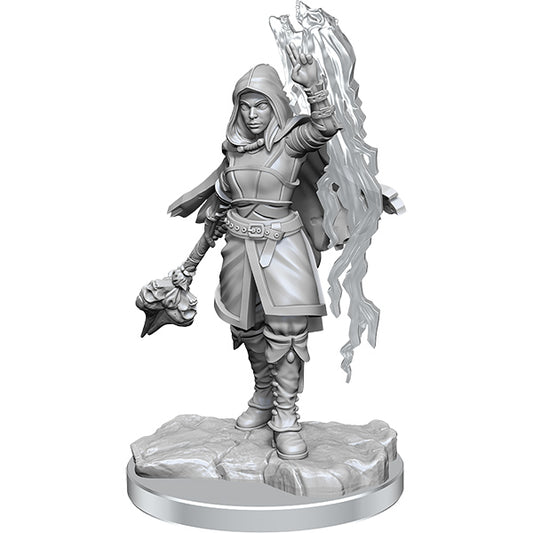 D&D Nolzur's Marvelous Miniatures: Half-Elf Warlock - #90410