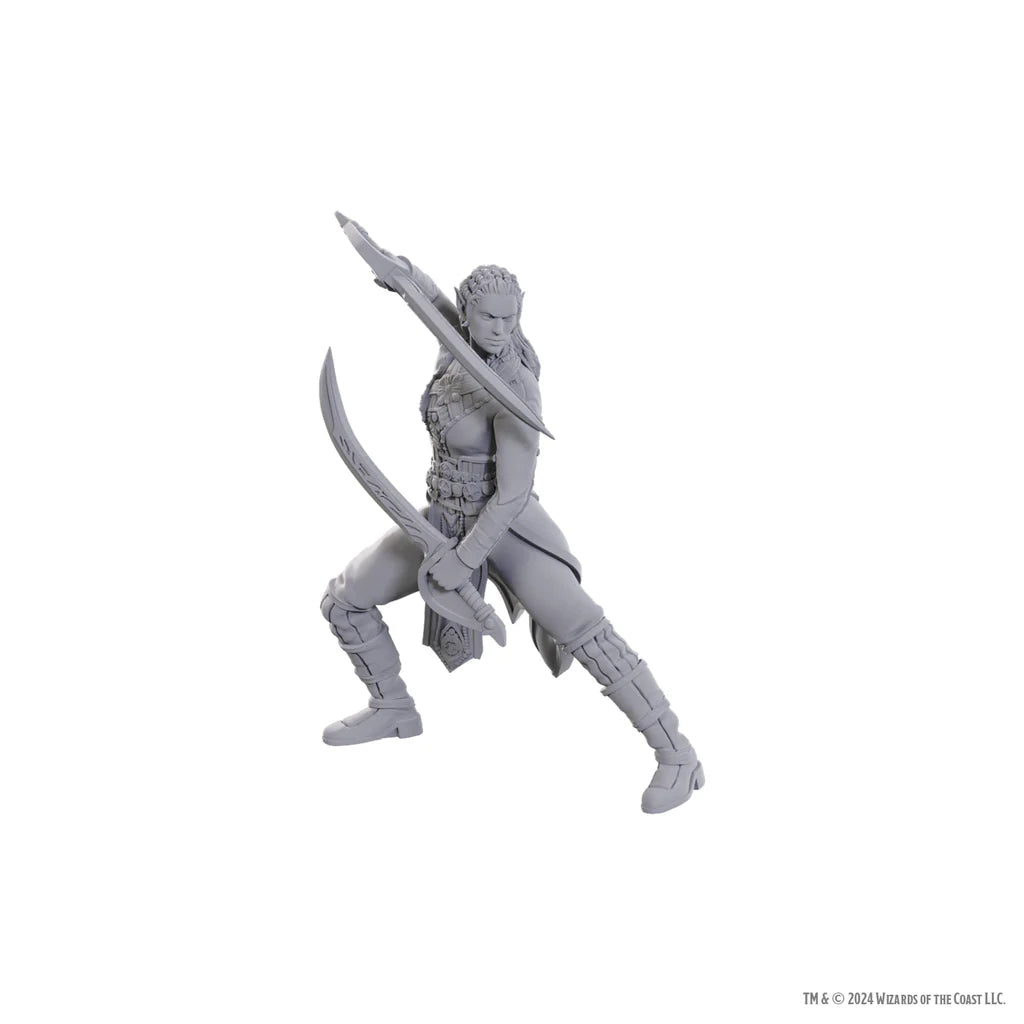 D&D Nozlur’s Marvelous Miniatures: Baldur’s Gate Jaheira & Halsin - #96368