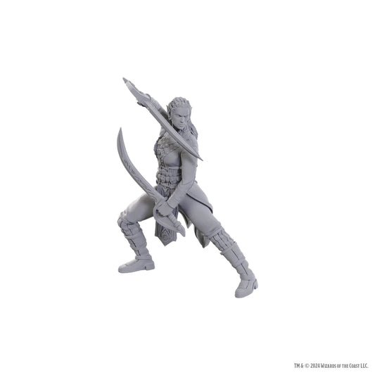 D&D Nozlur’s Marvelous Miniatures: Baldur’s Gate Jaheira & Halsin - #96368