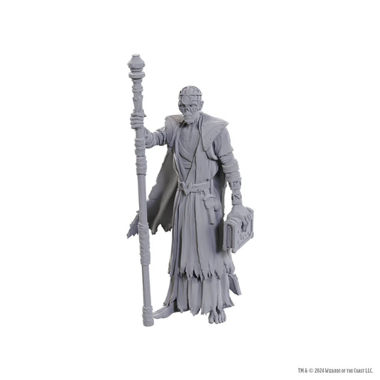 D&D Nozlur’s Marvelous Miniatures: Volo & Withers - #96372