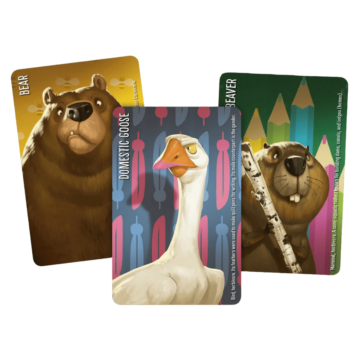 Similo: Animals