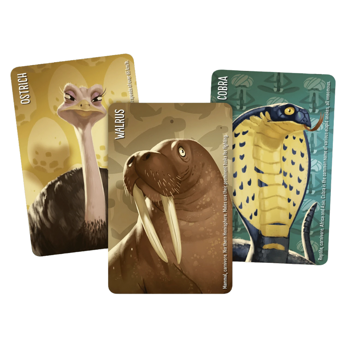 Similo: Wild Animals