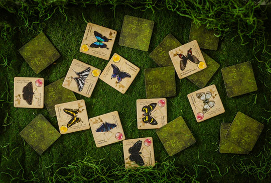 Jewel Box - Fluttering Expedition
