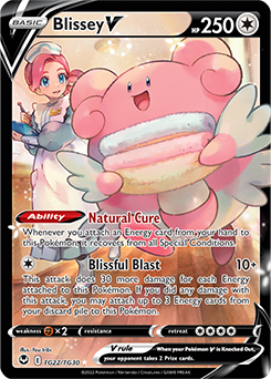 Blissey V - Silver Tempest Trainer Gallery TG22/TG30  (Foil)