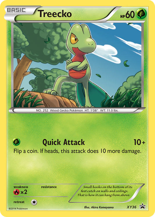 Treecko - XY Promos XY36 (Foil) - Near Mint