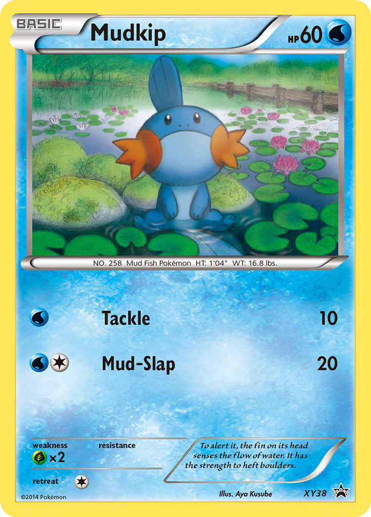 Mudkip - XY Promos XY38 (Foil) - Near Mint