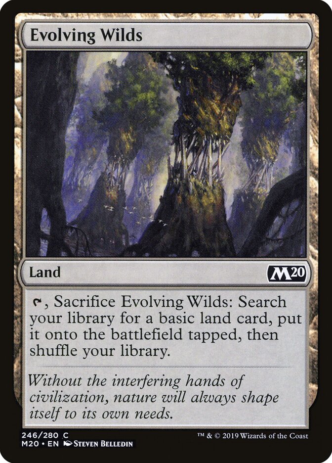 Evolving Wilds - Core Set 2020 246