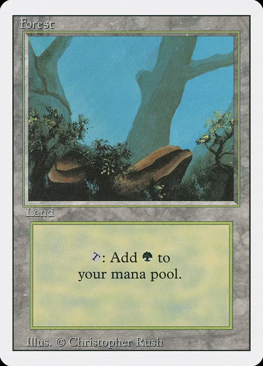 Forest - Revised Edition 304