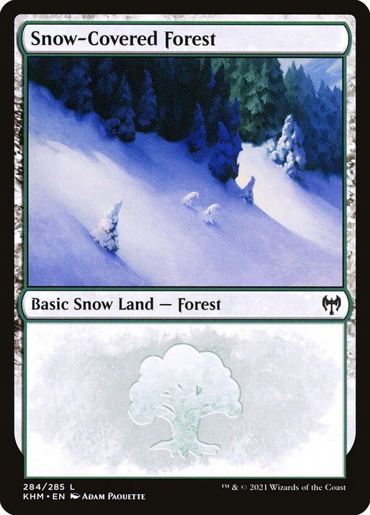 Snow-Covered Forest - KHM 284