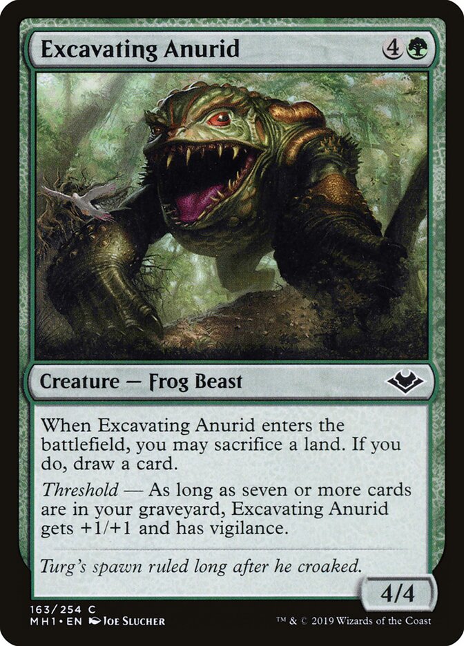 Excavating Anurid - Modern Horizons 163