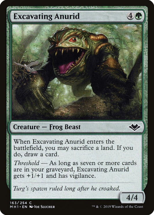 Excavating Anurid - Modern Horizons 163
