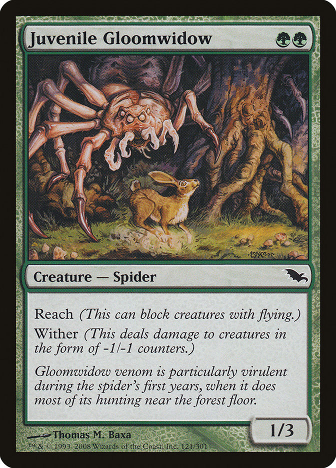 Juvenile Gloomwidow - SHM 121
