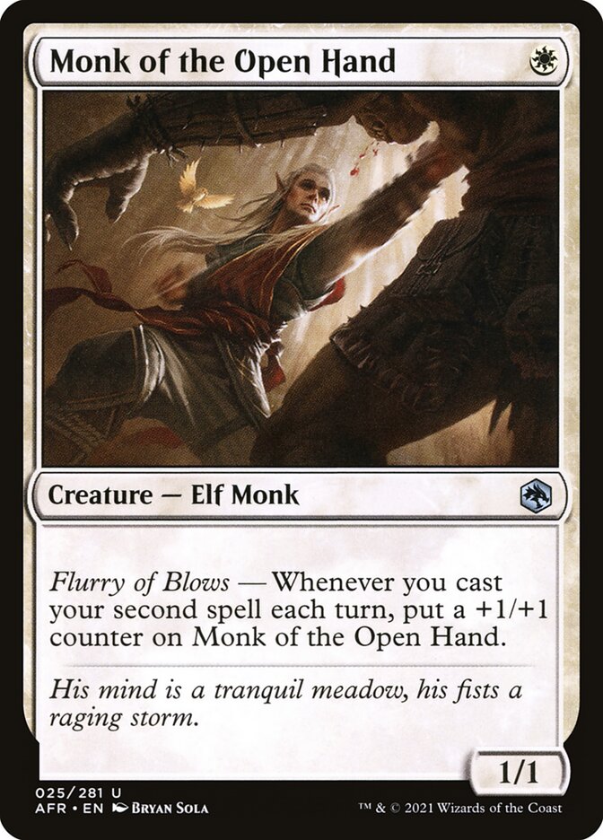 Monk of the Open Hand - Adventures in the Forgotten Realms 25