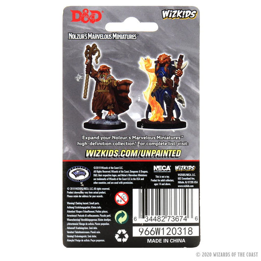 D&D Nolzur’s Marvelous Miniatures - Dragonborn Sorcerer - #73674