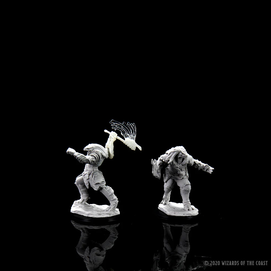 Nolzur’s Marvelous Miniatures - Dragonborn Fighter - #90001