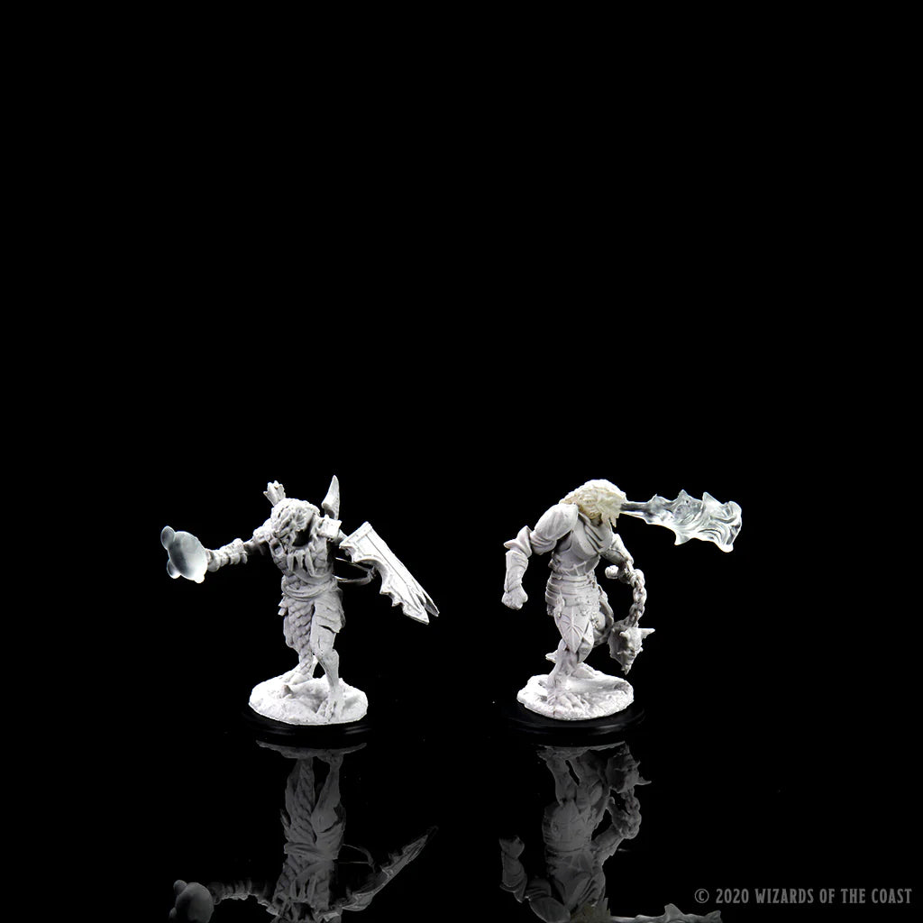 D&D Nolzur’s Marvelous Miniatures - Male Dragonborn Paladin - #90002